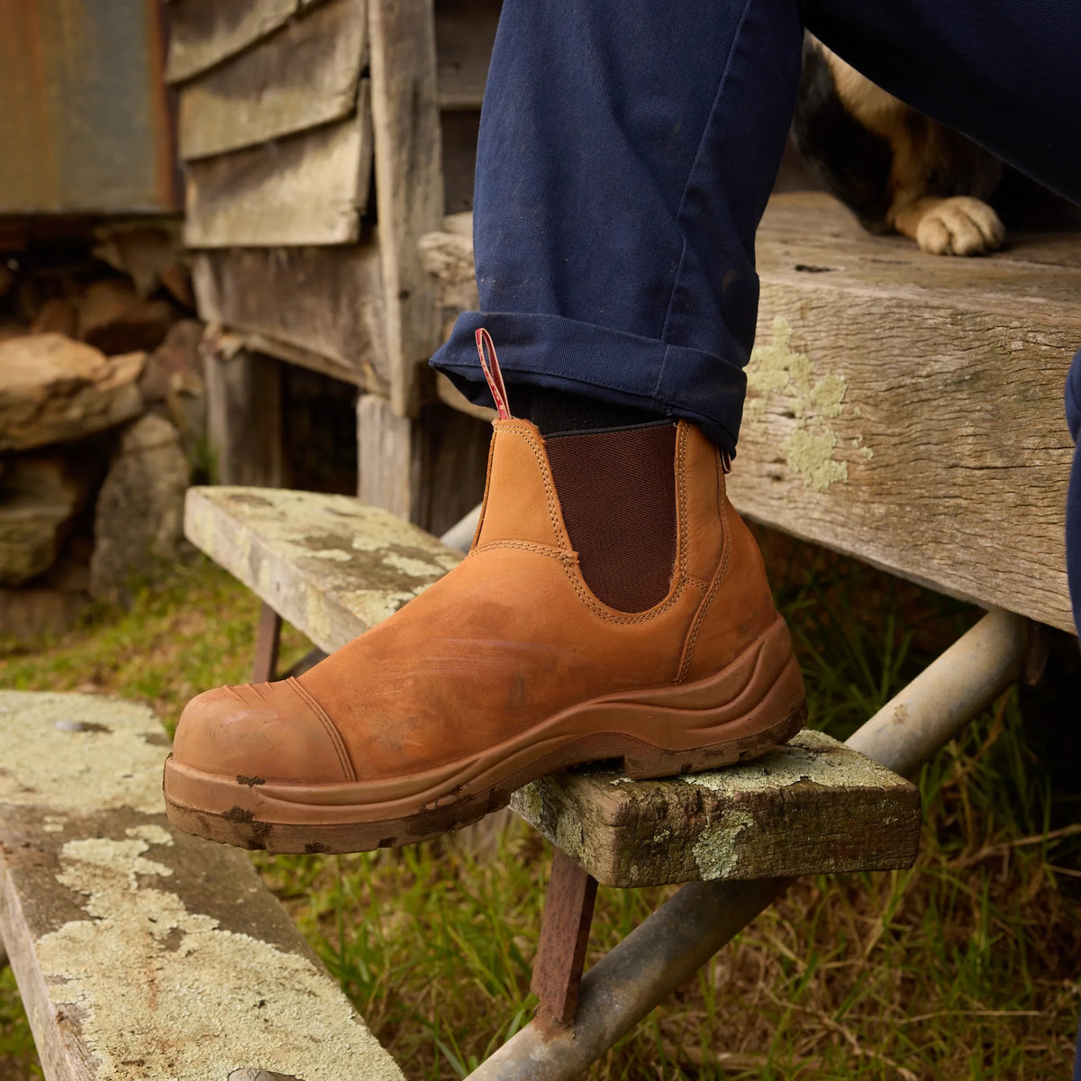 7102 Tad Safety Boot Wheat